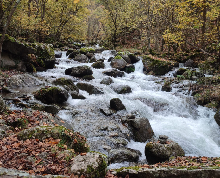 AVENTURA