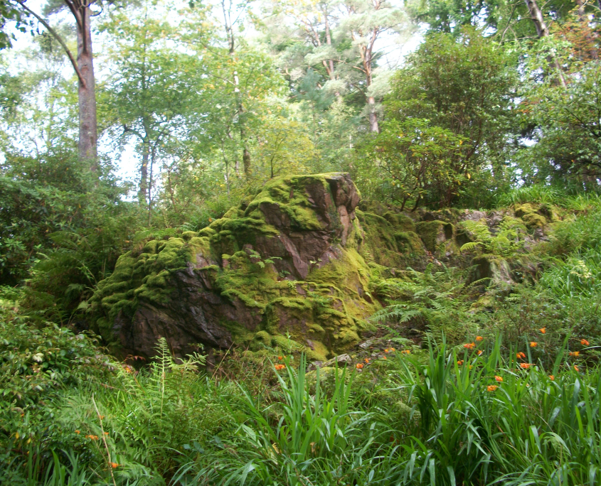 ENERI