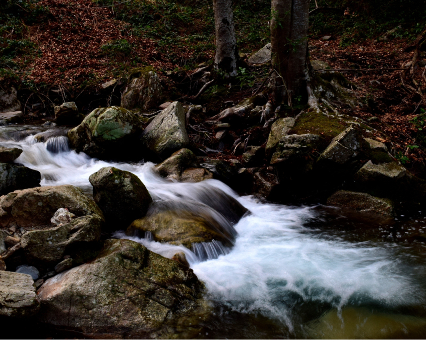 NIKON D5300