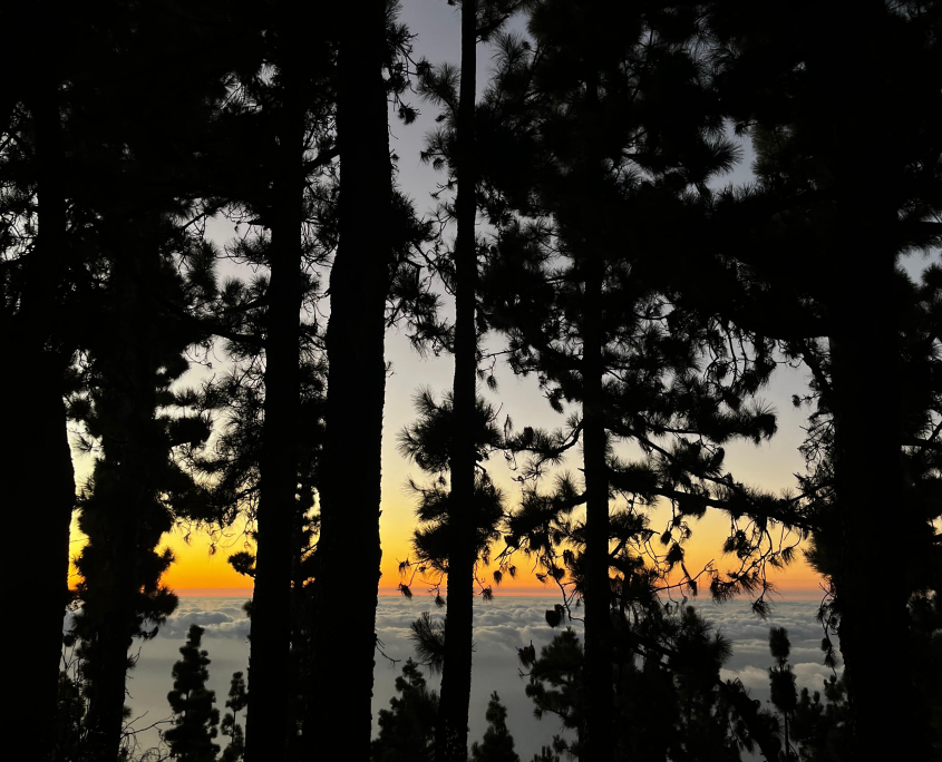 TEIDE