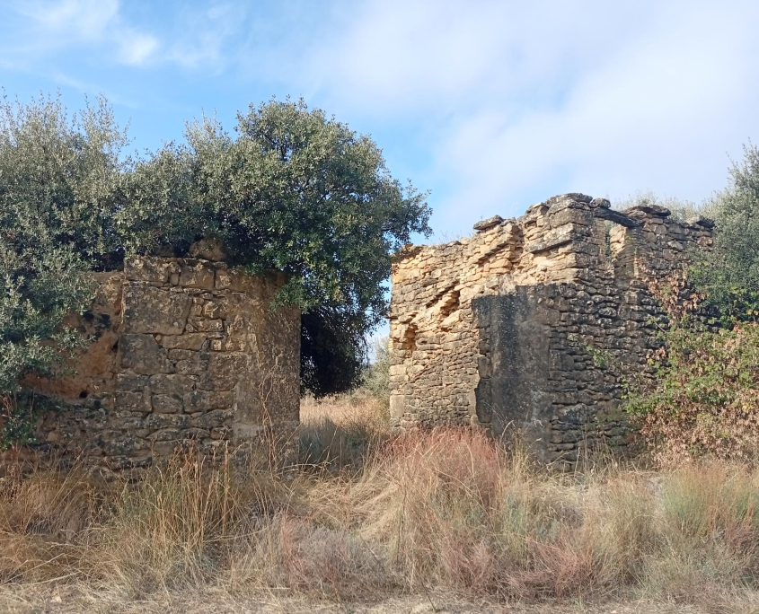ENERI