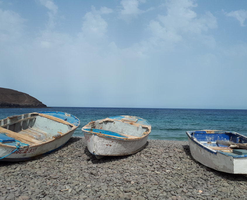 PESCADOR RESILIENTE